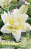 Лилия Roselily Ирвана (5)