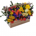 Флористика